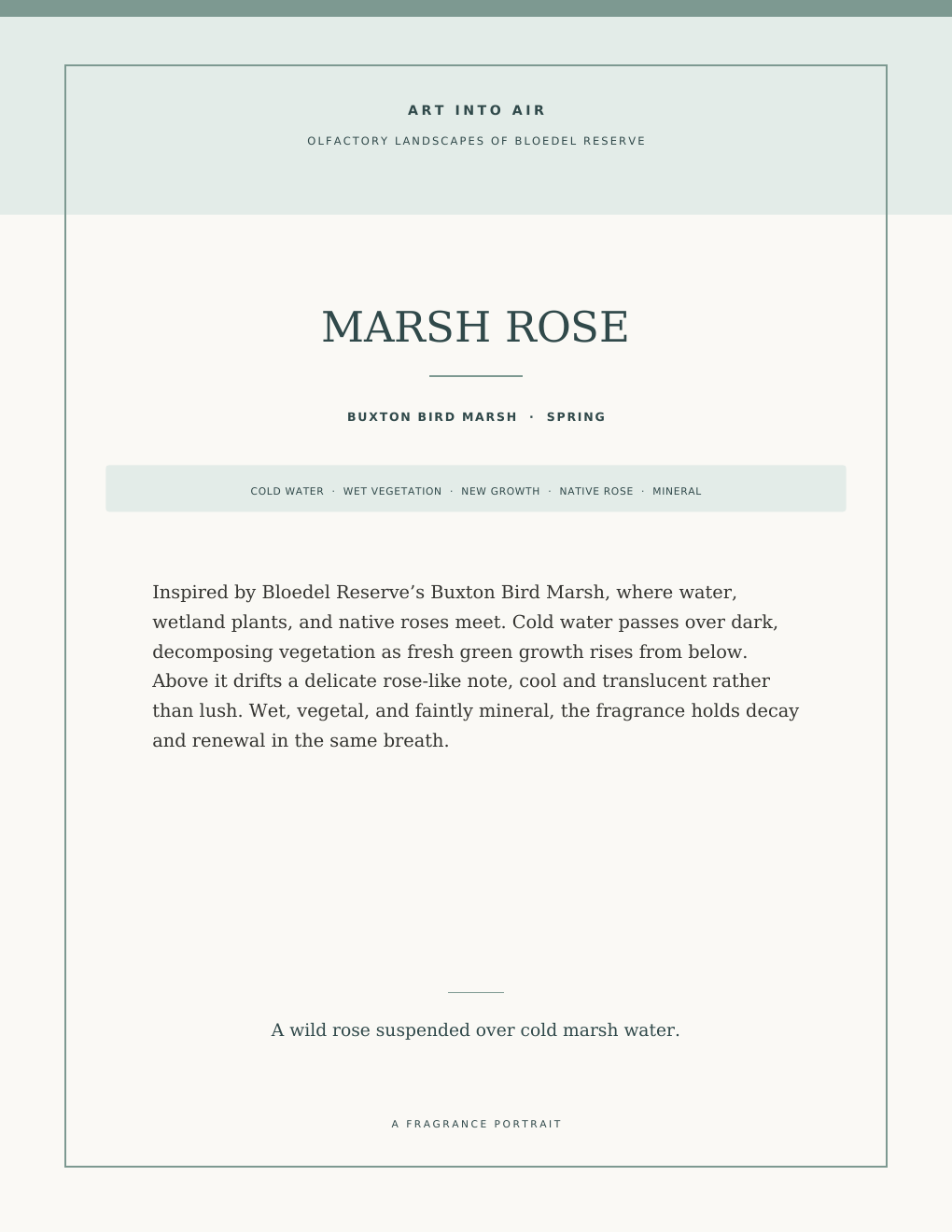 Marsh Rose scent portrait