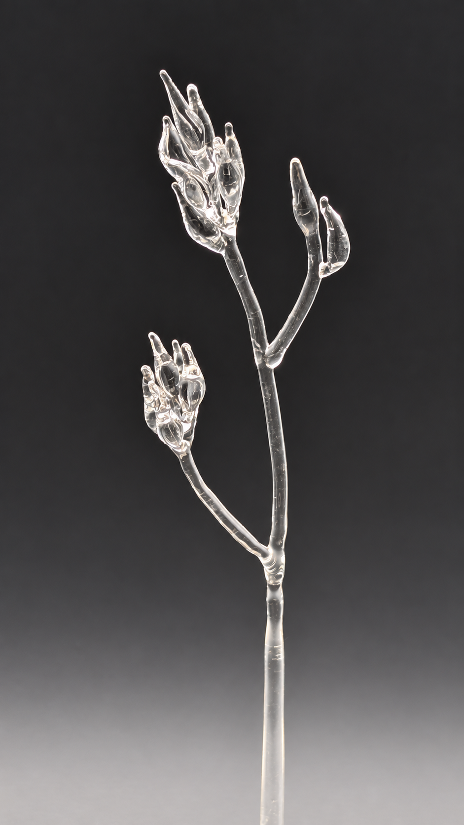 Clear-glass Summer Grassland wand, a branching stem made by Stephanie Tayengco